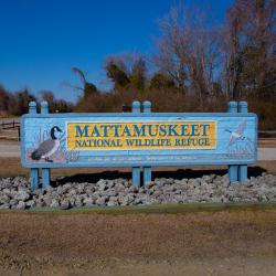 lake mattamuskeet entrance sign