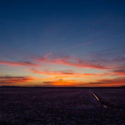 Pungo Field Sunset