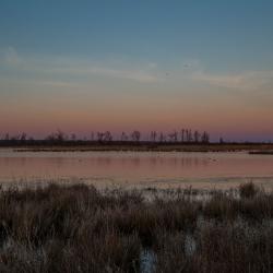 Pungo Lake Sunset Pocosin Lakes National Wildlife Refuge