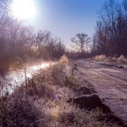 Sunrising on the Canals