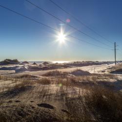 Pea Island