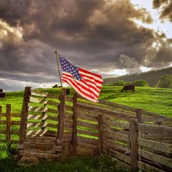 American Flag & Cattle in Monterey VA