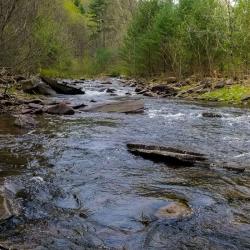 Favorite Wild Creek for Fly Fishing