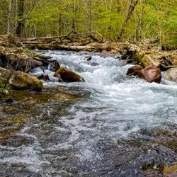 Water Falls Wild Creek