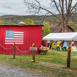 Traditions Day Huntersville WV