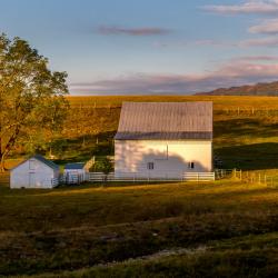 Barn in Blue Grass Va