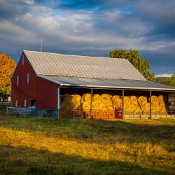 Hay Barn in Blue Grass Va