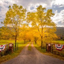 Beautiful driveway off Hwy 220