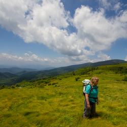 Roan Mountain North Carolina
