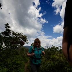 Roan Mountain North Carolina