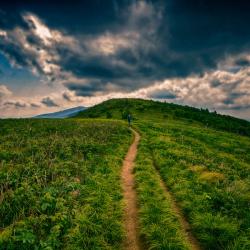 Roan Mountain North Carolina