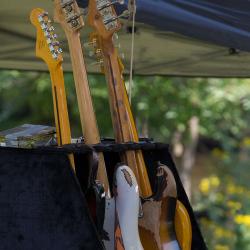 Guitars New River Blues Festival