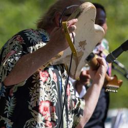 King Bees Rob "Hound Dog" Baskerville New River Blues Festival
