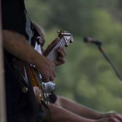 Guitarist Tony Fazio