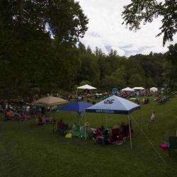 New River Blues Festival 2014