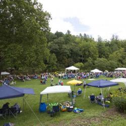 New River Blues Festival 2014