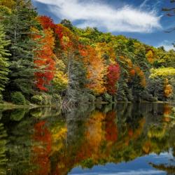 Seneca State Forest Lake