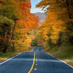 Country Road