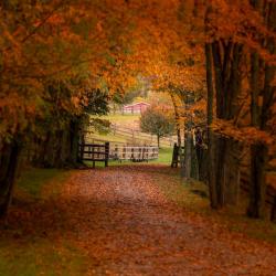 Driveway to a farm in Highland County VA