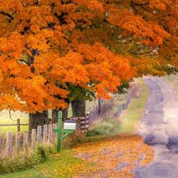 Maple Sugar Road in Monterey VA