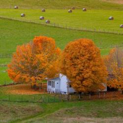 Farm in Highland County VA