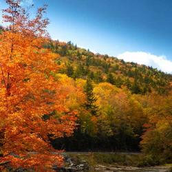 Shavers Fork river in the fall