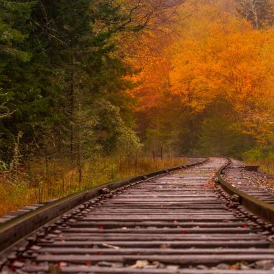 The railroad tracks at Shavers Fork WV