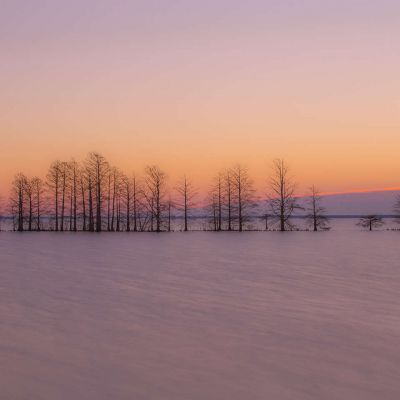 Lake Mattamuskeet at Dawn