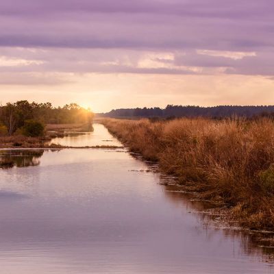 Pungo Lake Canal at Sunset
