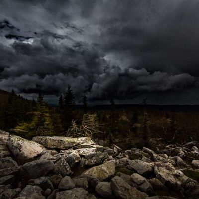 Dolly Sods - The Alter