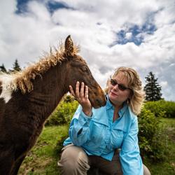 Wild Pony Grayson Highlands