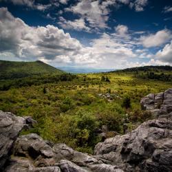 Grayson Highlands State Park