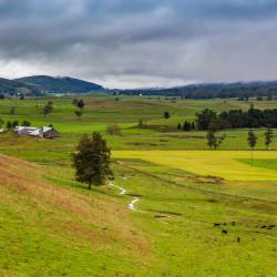 Highland County Farm