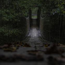 Bullpasture River Gorge Swinging Bridge