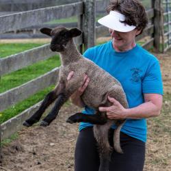Terry Duff Fair Lawn Farm Lamb