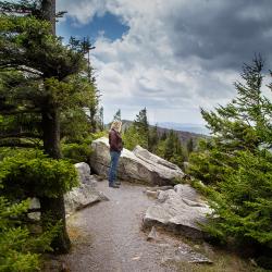 Spruce Knob Tower Trail, Riverton, WV