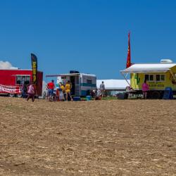 Beaver Dam Farm Sunflower Festival