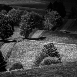 Rolling back roads of Monterey Virginia