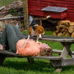 Kim and Riley the Beagle Dog