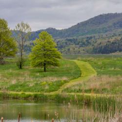 Heavenly Hills