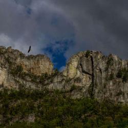 Seneca Rocks WV
