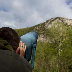 Looking at Seneca Rocks WV