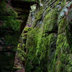 Beartown State Park WV