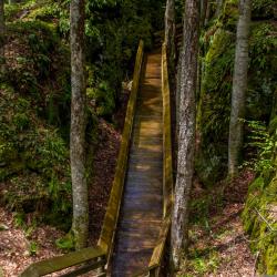 Beartown State Park WV
