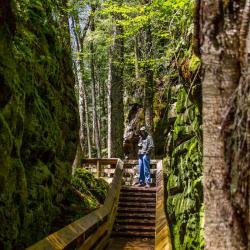 Beartown State Park WV