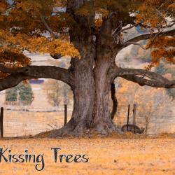 Look close you will see it--The kissing Trees