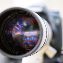 Photography Canon 7D, EF 400mm f/5.6L