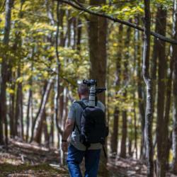 Troy Shooting Bird Photography