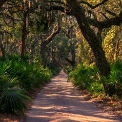 Cumberland Island National Seashore