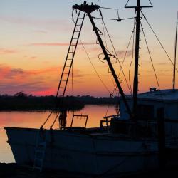 Darien Shrimp Boats